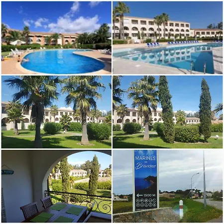 Sognu Di Mare - Linguizzetta