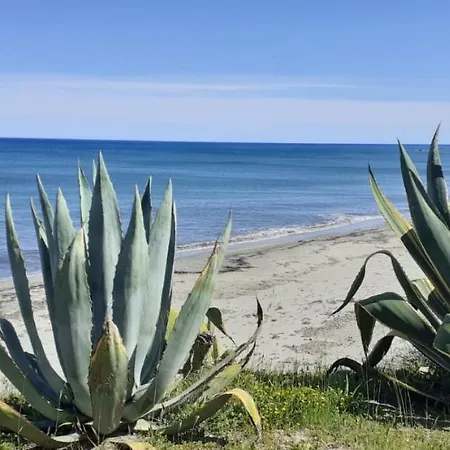 Sognu Di Mare - * Linguizzetta