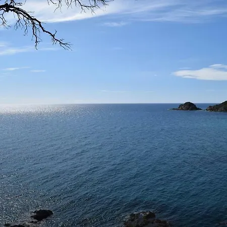 Sognu Di Mare - Linguizzetta