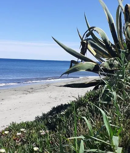 Appartamento Résidence Sognu Di Mare - *