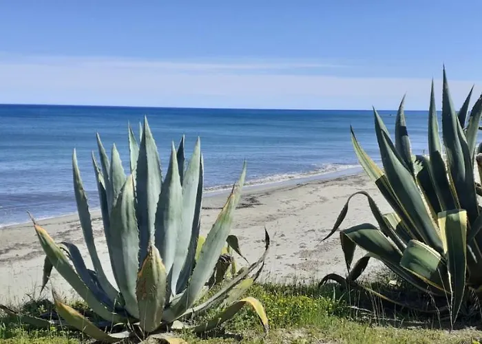 Résidence Sognu Di Mare - * Linguizzetta