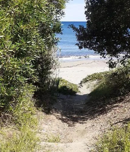 Résidence Sognu Di Mare - * Linguizzetta