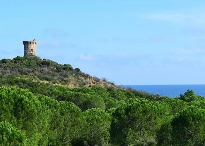 Résidence Sognu Di Mare - Appartement