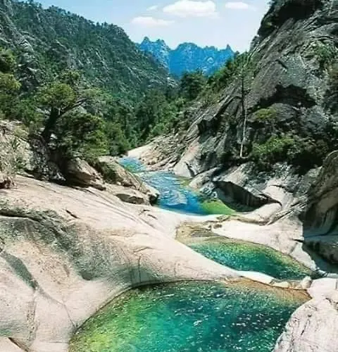 Résidence Sognu Di Mare - Appartamento